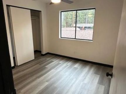 3695 Primrose Road, South Lake Tahoe, CA 96150 Photo