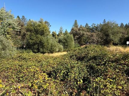 17898 Alexandra Way, Grass Valley, CA 95949 Photo