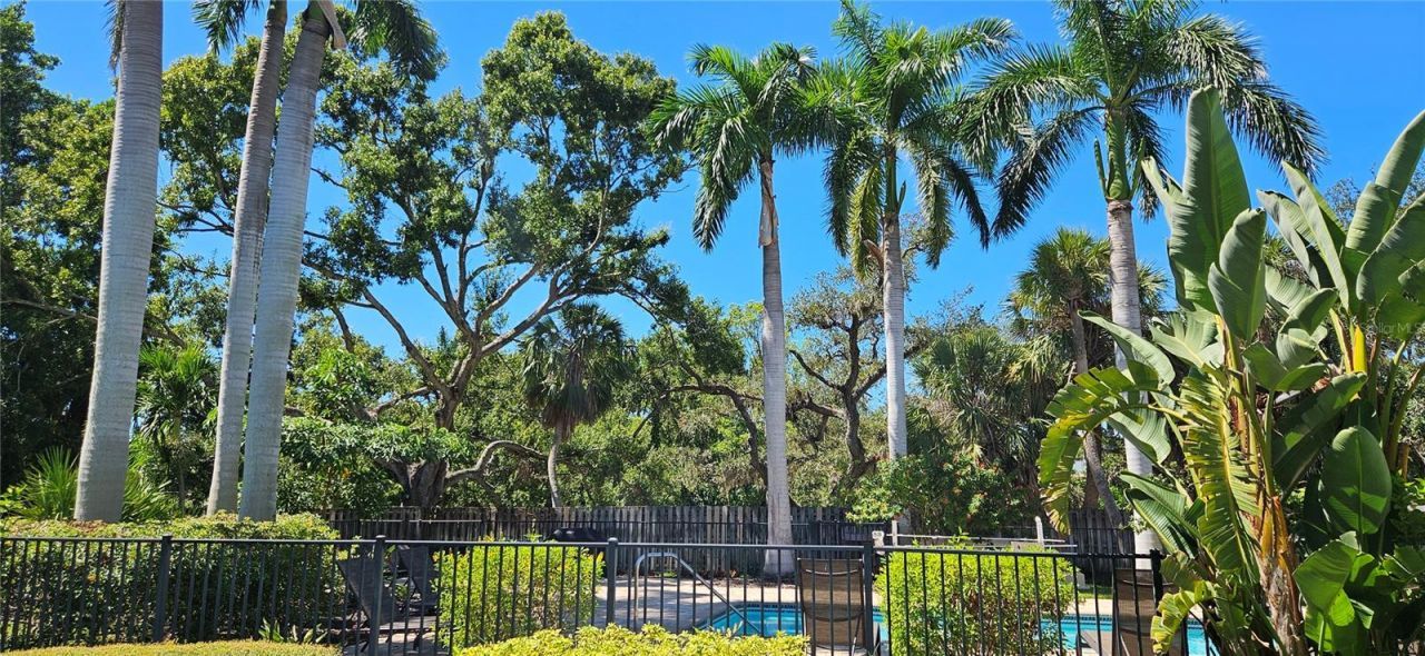 2232 Bahia Vista Street, Unit A6, Sarasota, FL 34239 Photo