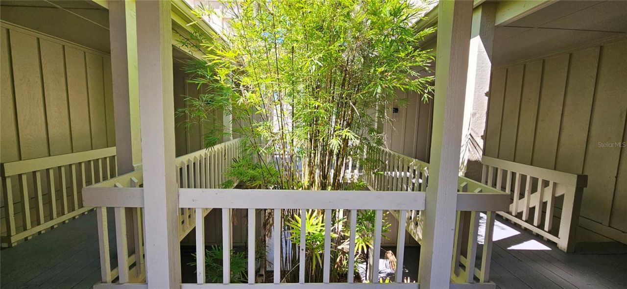 2232 Bahia Vista Street, Unit A6, Sarasota, FL 34239 Photo