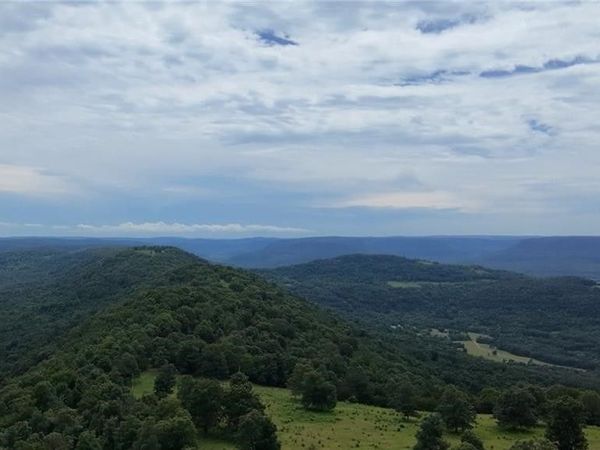 TBD Sky Island Drive, Unit 40, Mount Judea, AR 72655