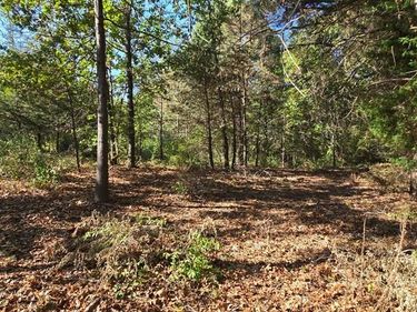 Hinchey Road, Putnam Twp, MI 48169