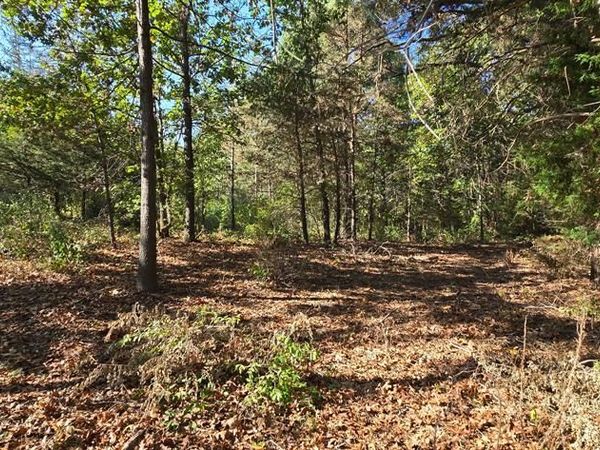 Hinchey Road, Putnam Twp, MI 48169