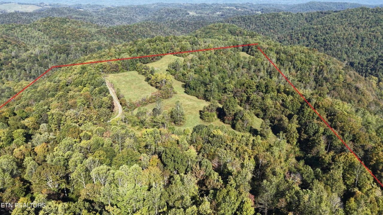 Chestnut Grove Rd, New Tazewell, TN 37825 Main Photo
