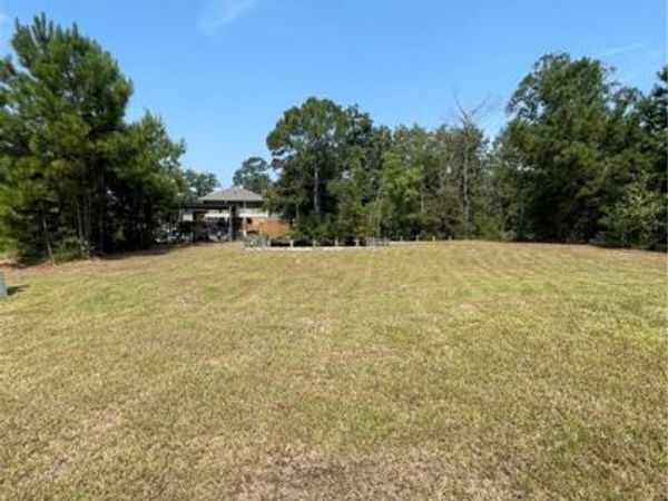 SWAMP Road, Springfield, LA 70462