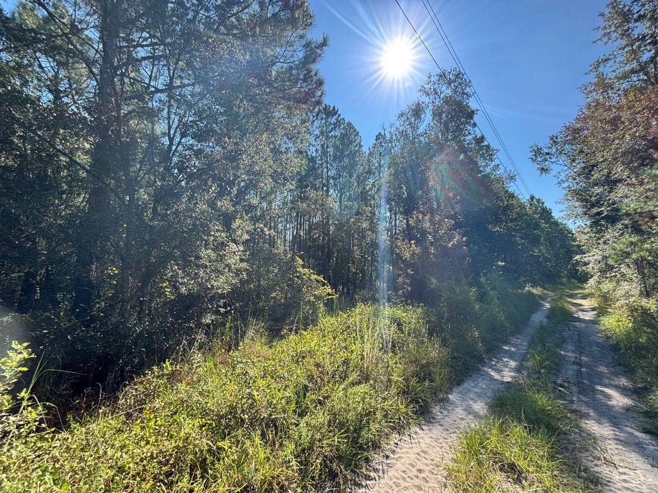 1570 SW Wabasso Terrace, Greenville, FL 32331 Photo