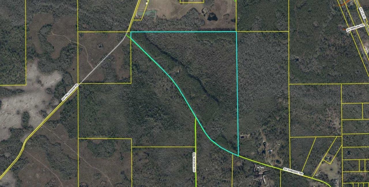 1570 SW Wabasso Terrace, Greenville, FL 32331 Photo