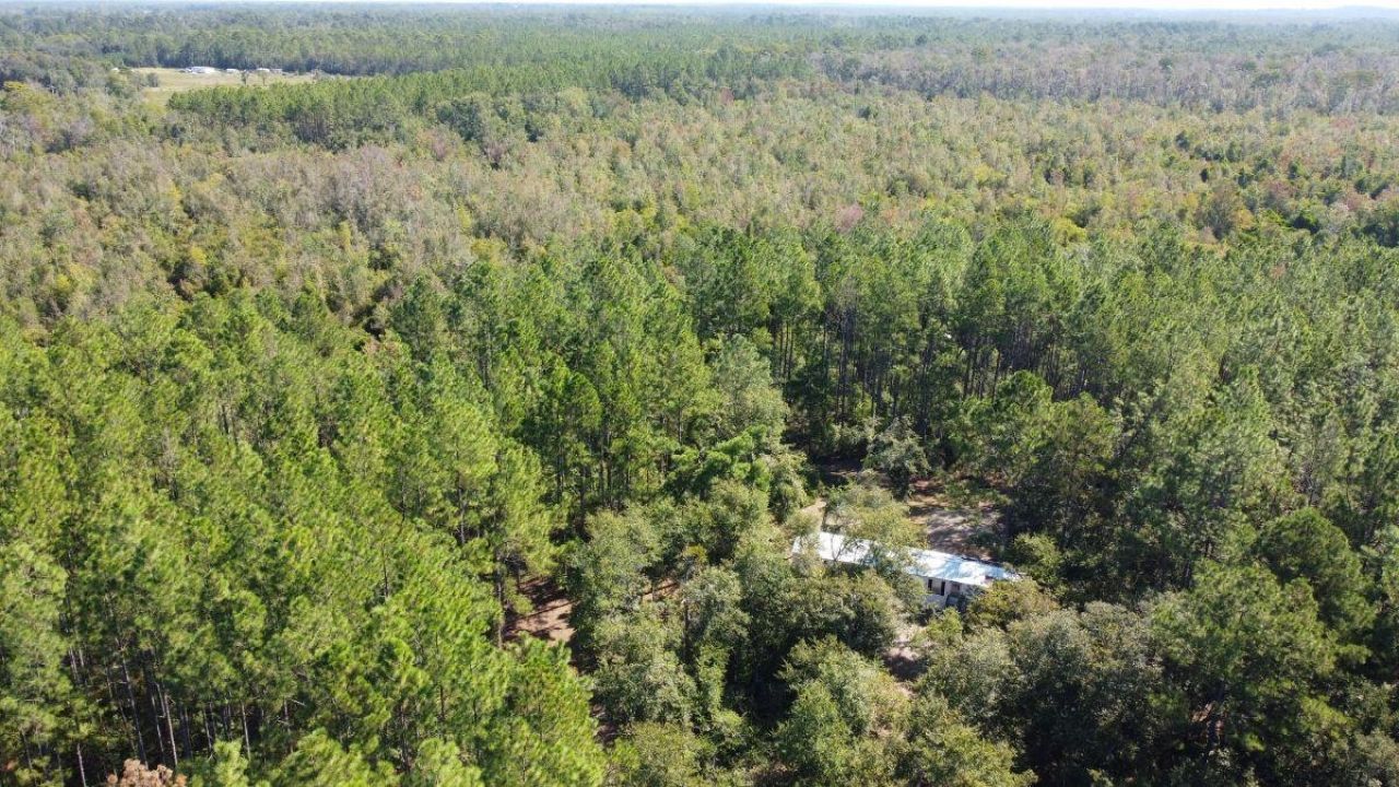 1570 SW Wabasso Terrace, Greenville, FL 32331 Photo