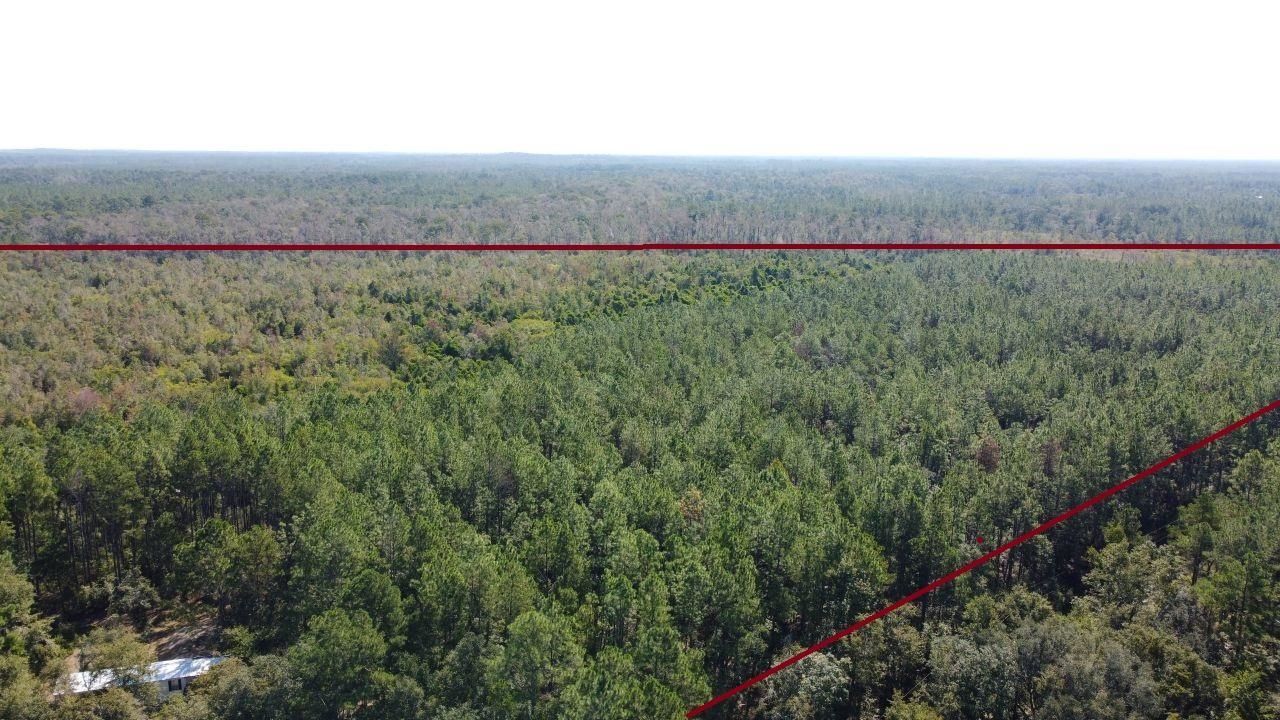 1570 SW Wabasso Terrace, Greenville, FL 32331 Photo