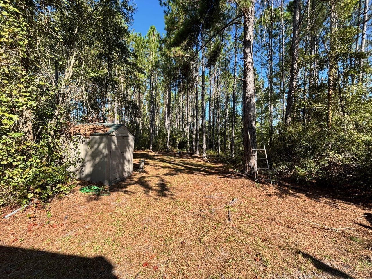 1570 SW Wabasso Terrace, Greenville, FL 32331 Photo