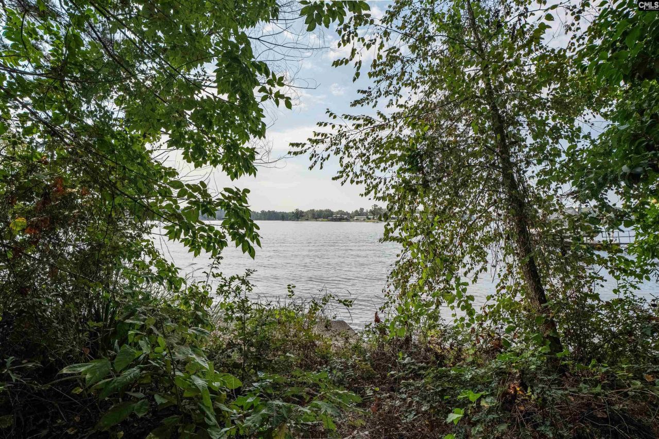 1172 Tailers Trail Photo 4