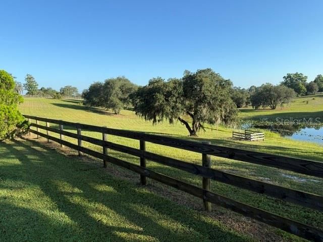 503 Bear Road Road, Lake Placid, FL 33852 Photo