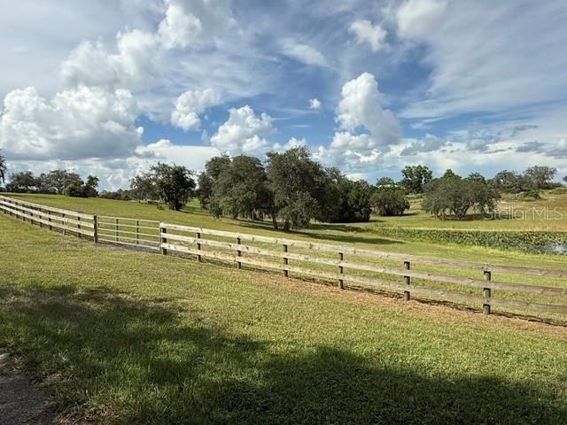 503 Bear Road Road, Lake Placid, FL 33852 Photo