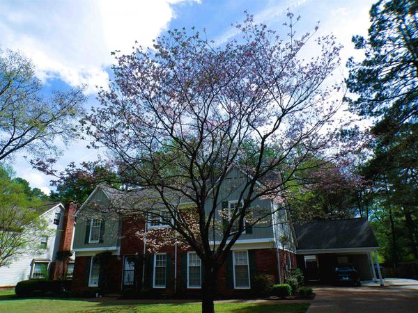 8325 FARMINGTON BLVD, Germantown, TN 38139