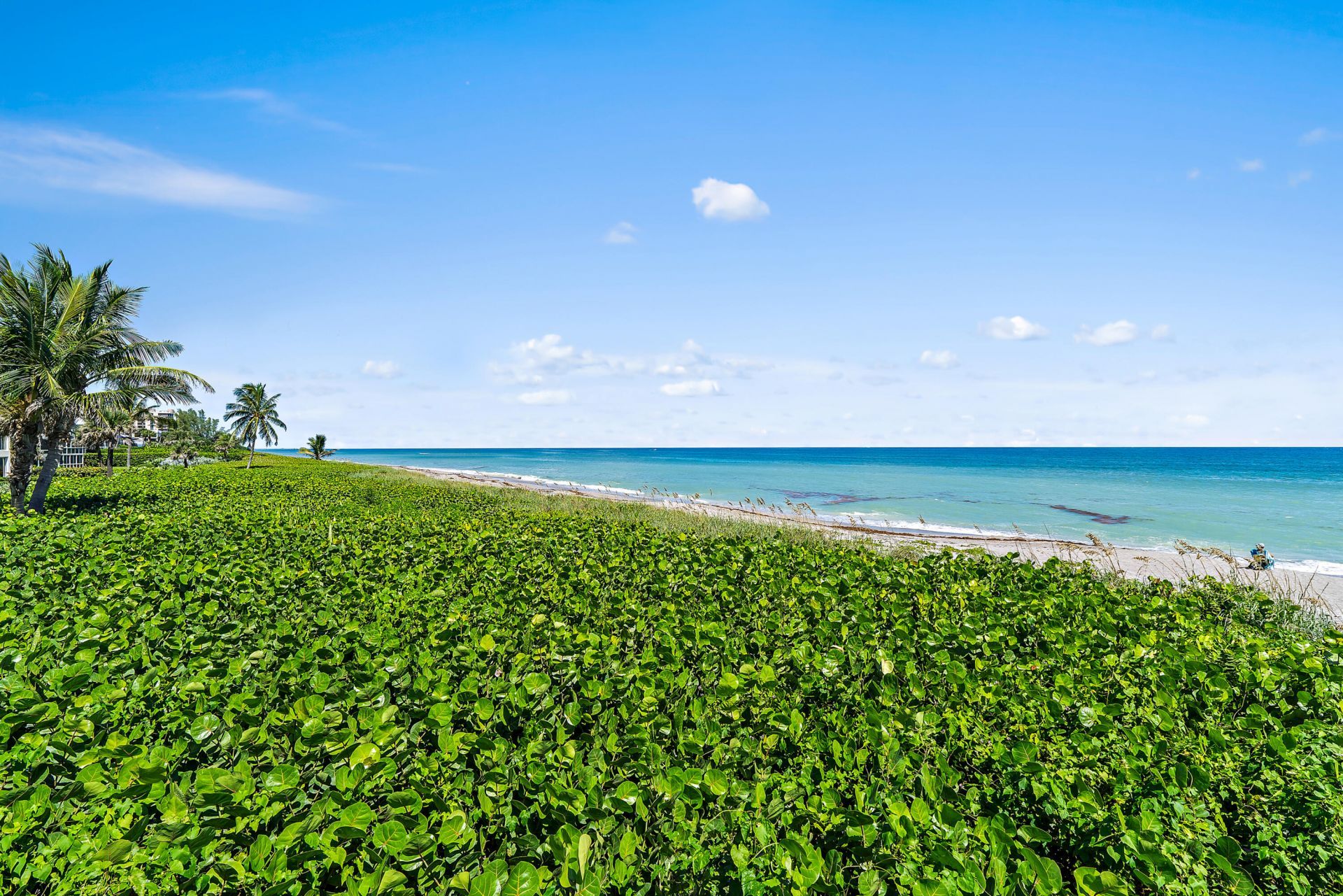 50 Celestial Way, Unit 310, Juno Beach, FL 33408 Photo