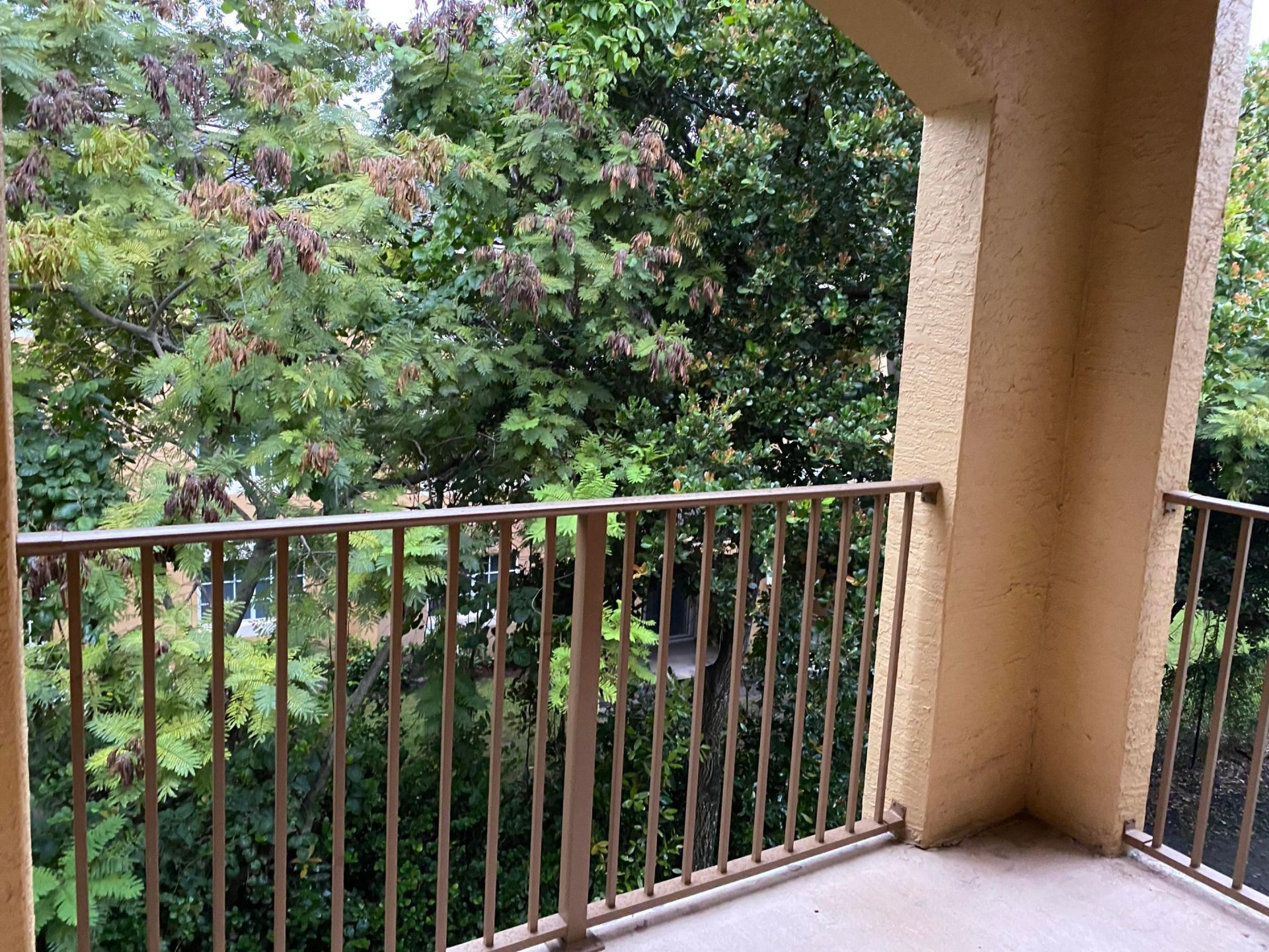 4241 San Marino Boulevard, Unit 306, West Palm Beach, FL 33409 Photo