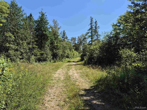 160 Acres Halverson Road, Doyle Twp, MI 49840