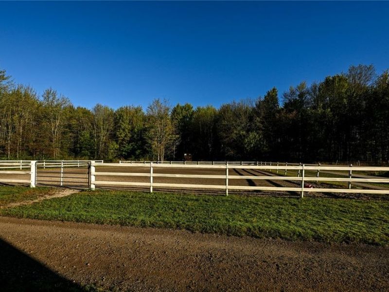 1315 Morning Star Drive, Rock Creek, OH 44084 Photo 45