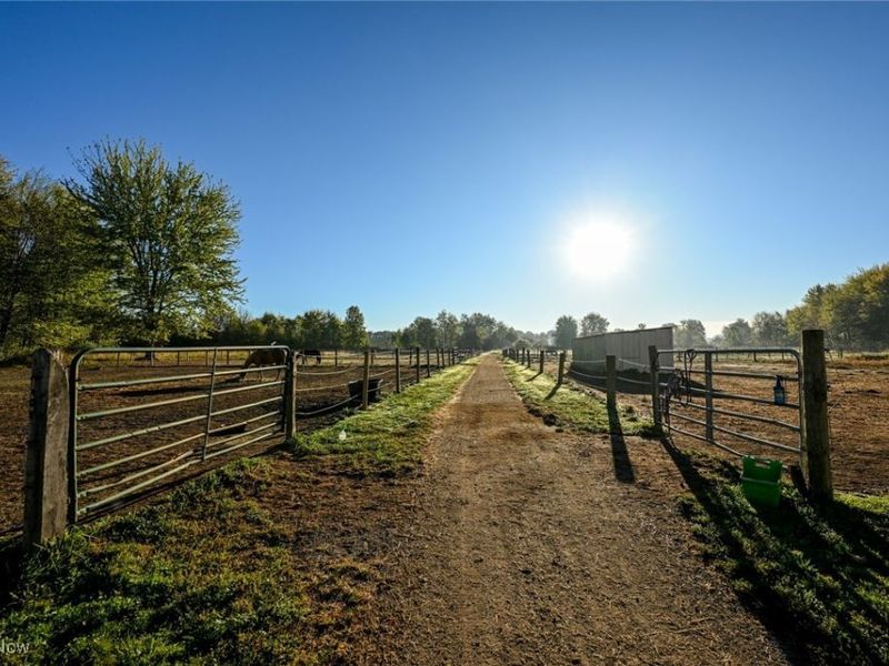 1315 Morning Star Drive, Rock Creek, OH 44084 Photo 46