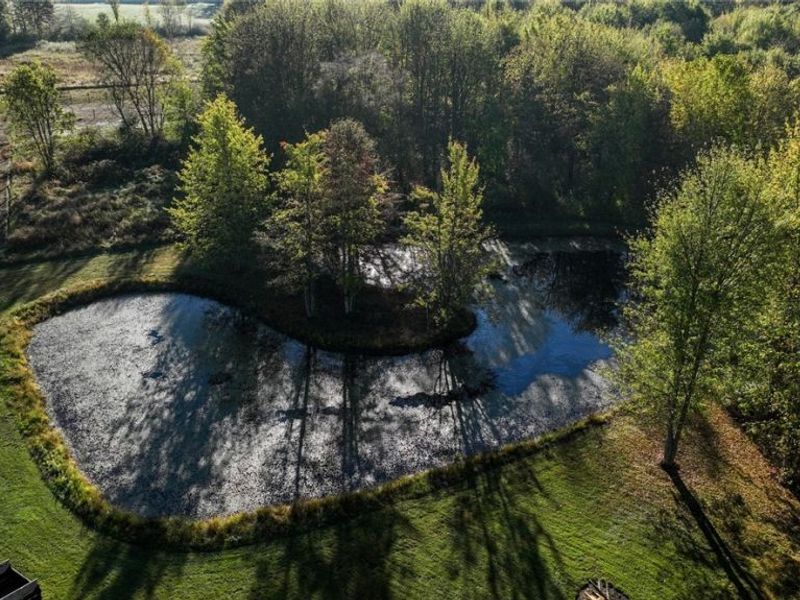 1315 Morning Star Drive, Rock Creek, OH 44084 Photo 50