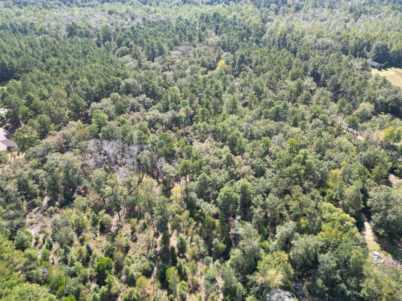 555 Old Whiskey Road Photo 30