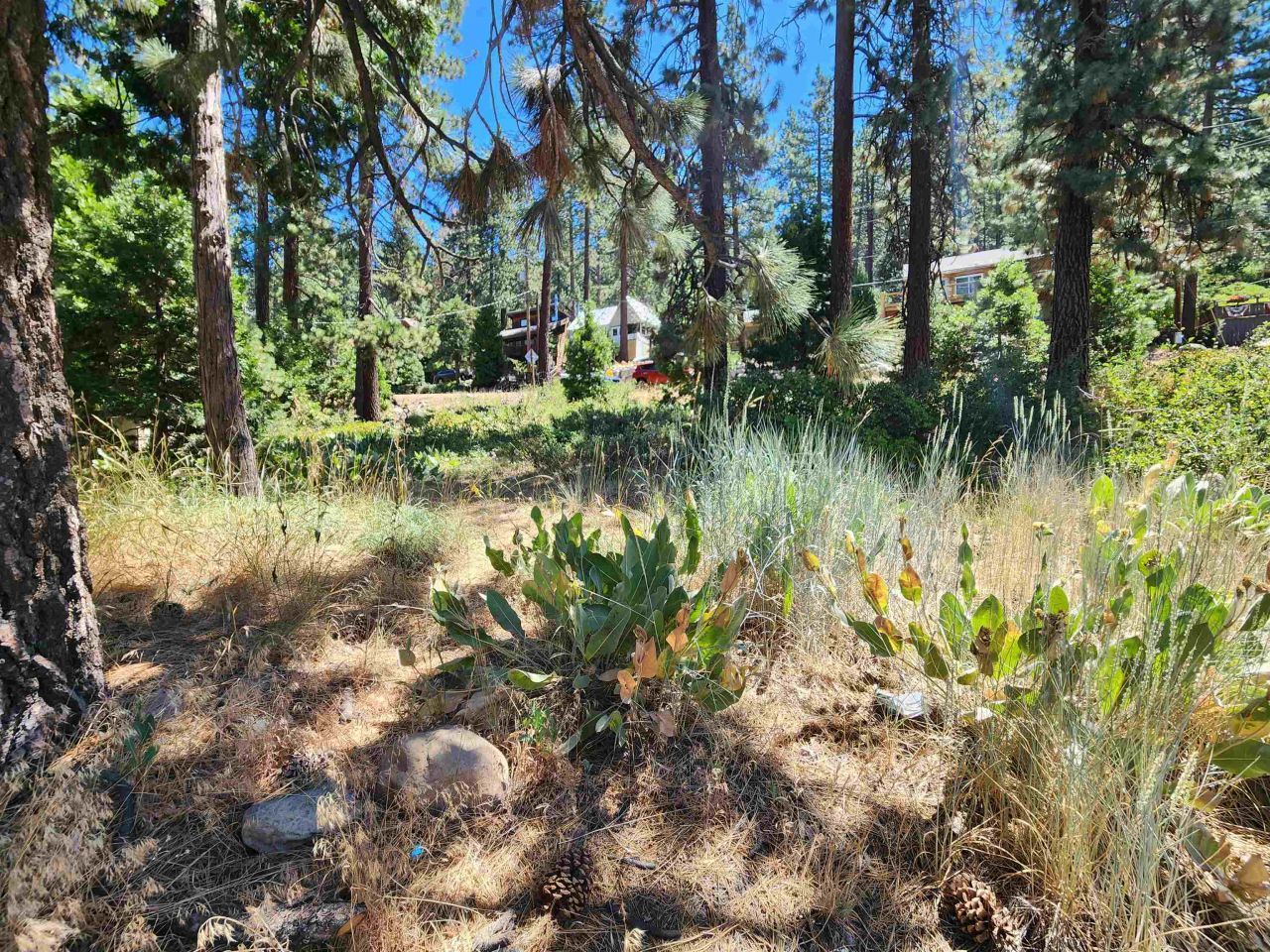 8945 North Lake Boulevard, Kings Beach, CA 96143 Photo