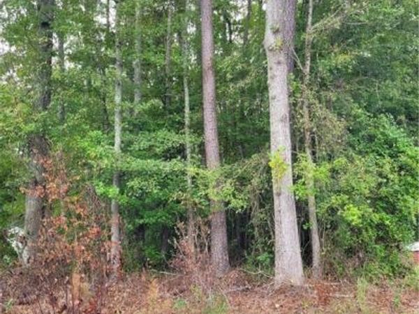 TBD09 Kimages Road, Charles City, VA 23030