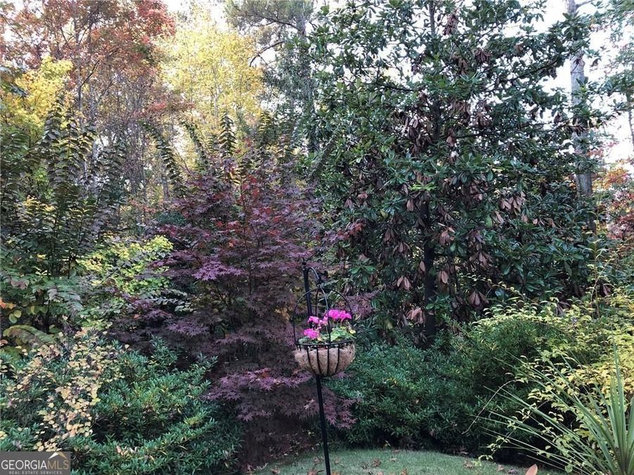 Property Image 59