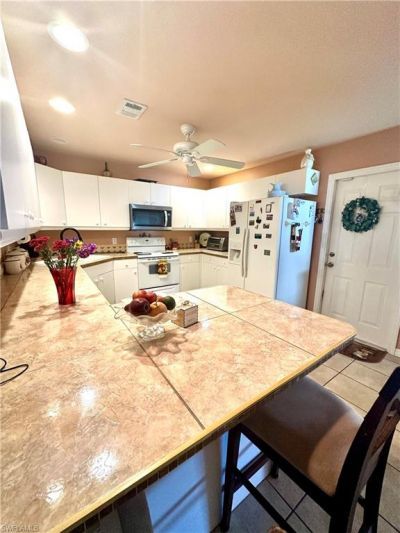 10635 Windsmont Ct, Lehigh Acres, FL 33936 Photo