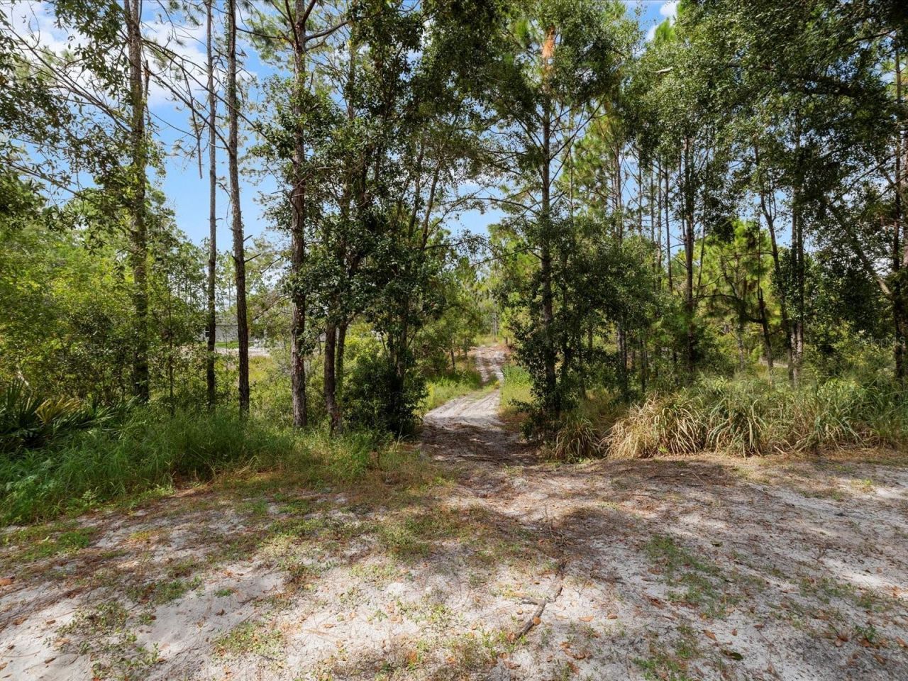 4219 Surfside Circle, Spring Hill, FL 34606 Photo