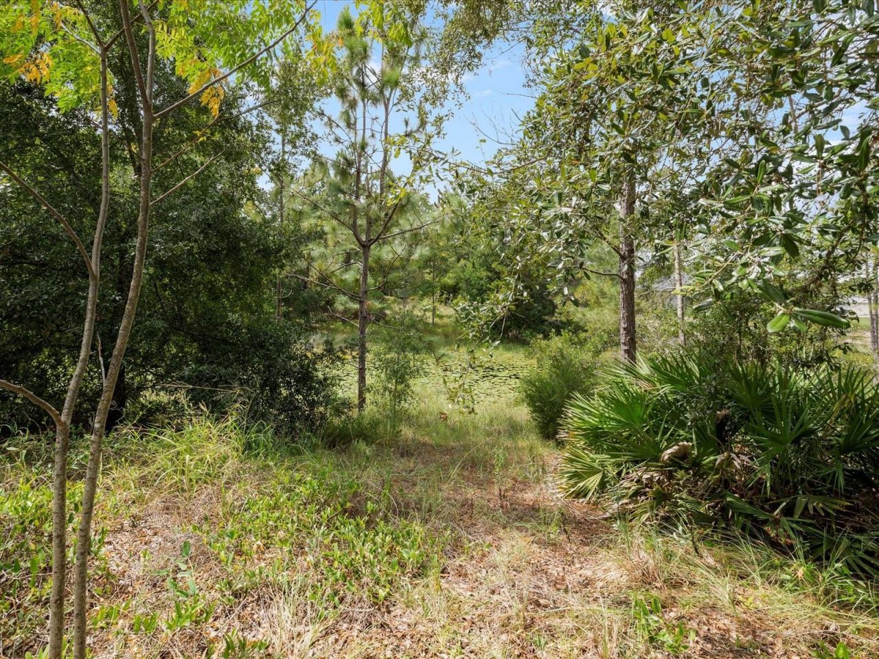 4219 Surfside Circle, Spring Hill, FL 34606 Photo