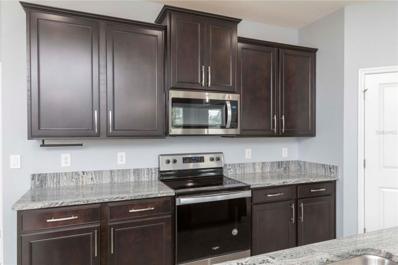 13483 Golden Lime Avenue, Spring Hill, FL 34609 Photo