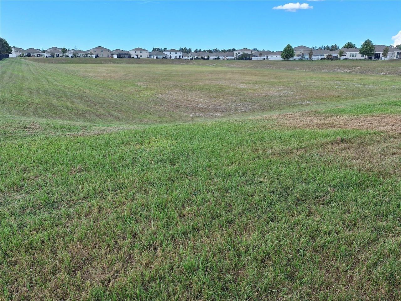 13483 Golden Lime Avenue, Spring Hill, FL 34609 Photo