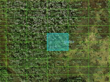 OLD GRADE RD, POLK CITY, FL 33868