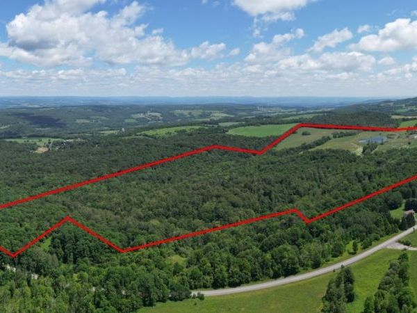 989 Robinson Rd, Mohawk, NY 13407