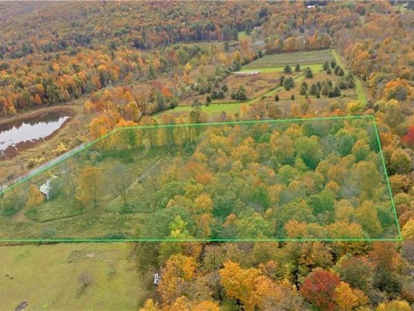 249 Peraglie Road, Jefferson, NY 12093