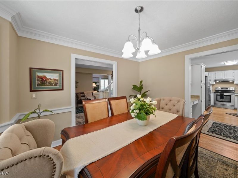 159 Royal Oak Drive, Aurora, OH 44202 Photo 19