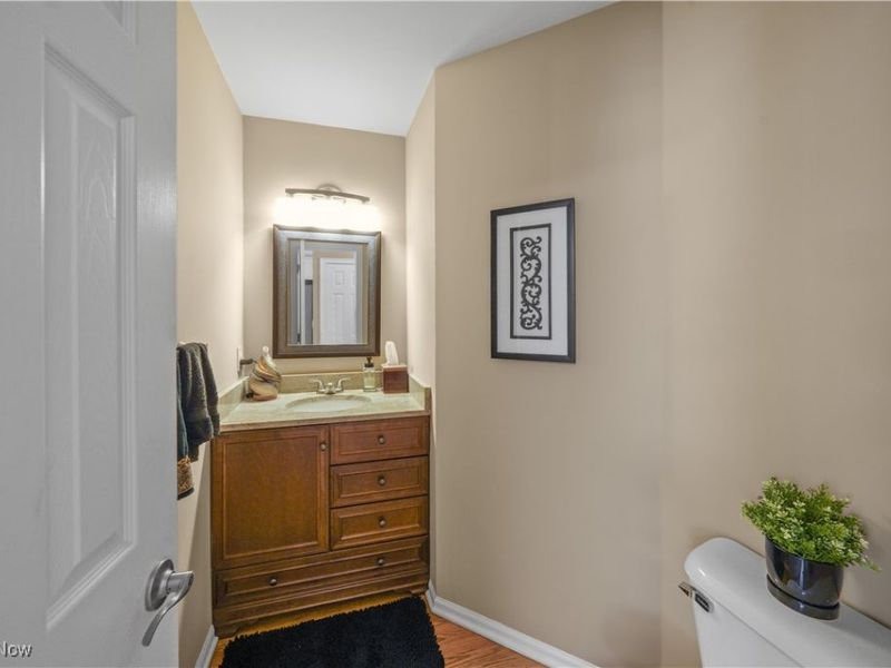 159 Royal Oak Drive, Aurora, OH 44202 Photo 20