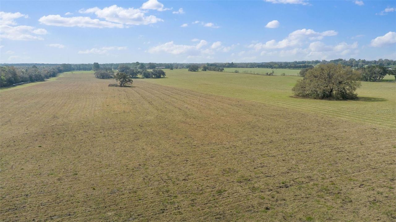 19355 SW 25th Place, Dunnellon, FL 34431 Photo