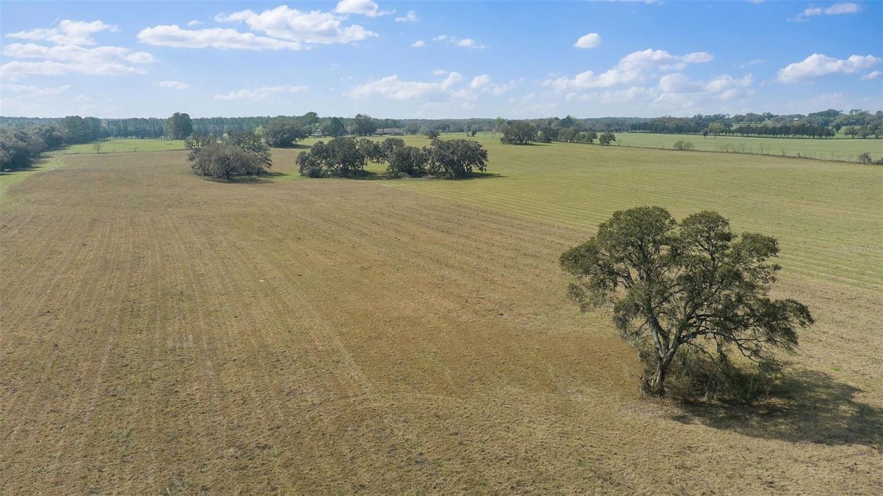 19355 SW 25th Place, Dunnellon, FL 34431 Photo