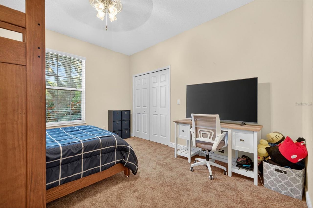 11332 Marjory Avenue, Tampa, FL 33612 Photo