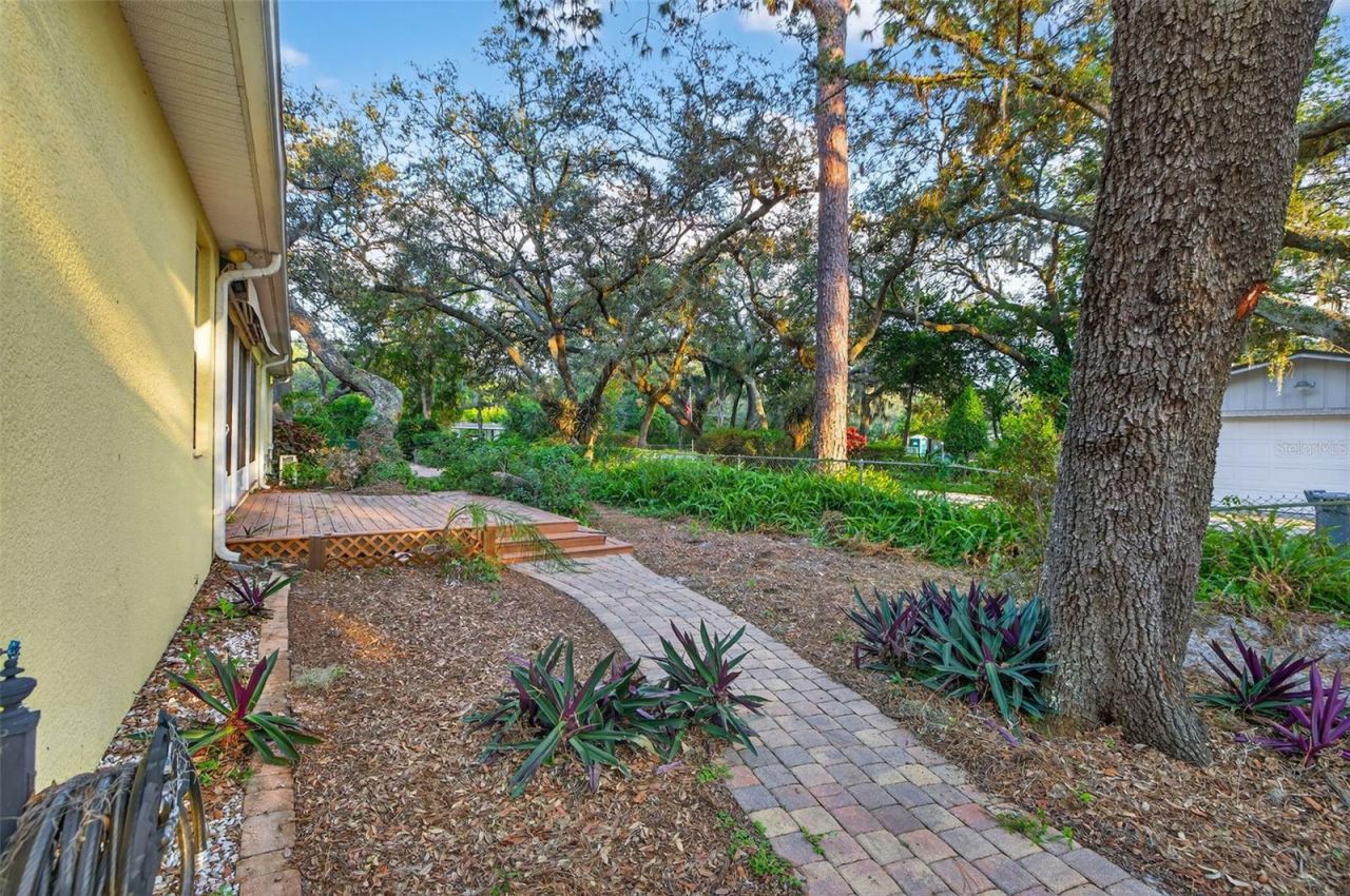 11332 Marjory Avenue, Tampa, FL 33612 Photo