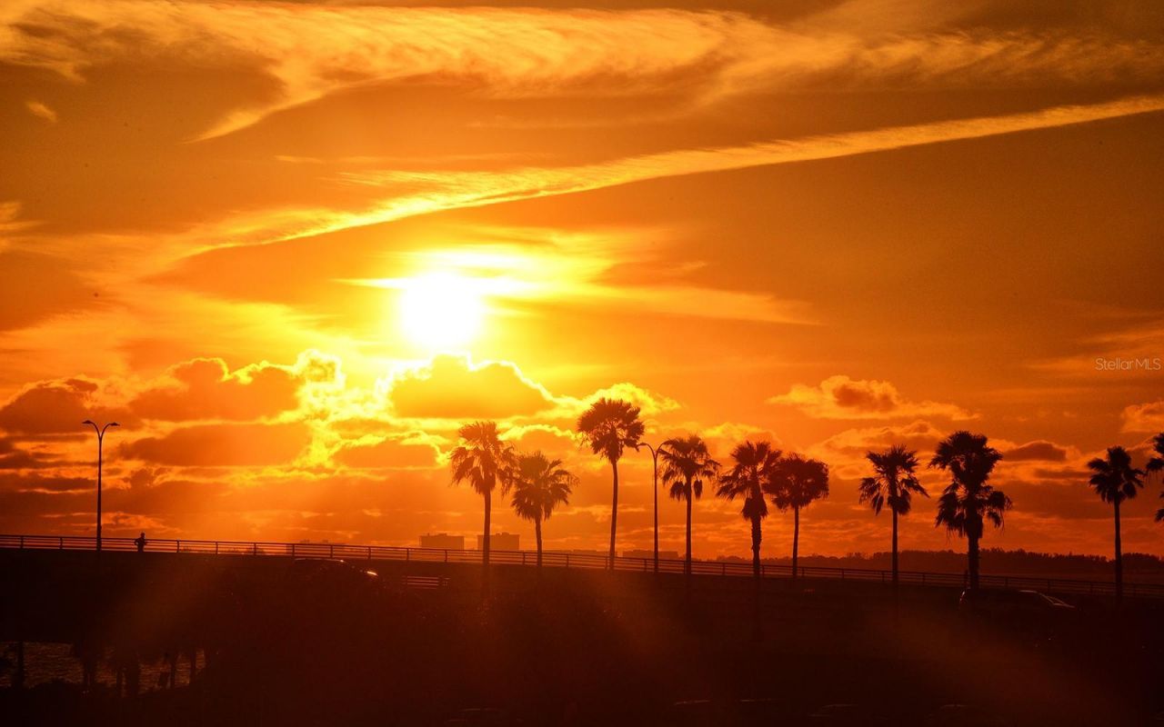 707 S Gulfstream Avenue, Unit 604, Sarasota, FL 34236 Photo