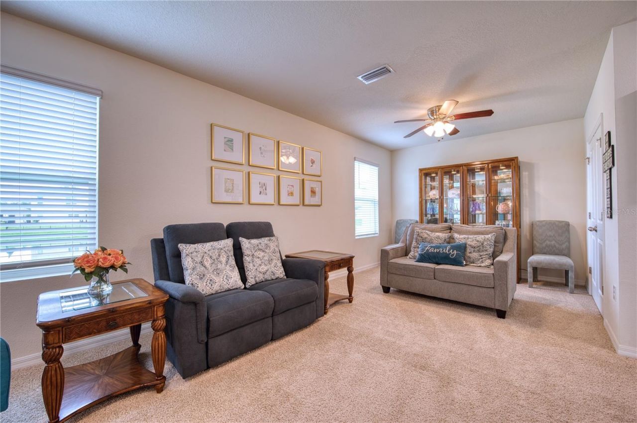 16705 Southern Oaks Trail, Parrish, FL 34219 Photo