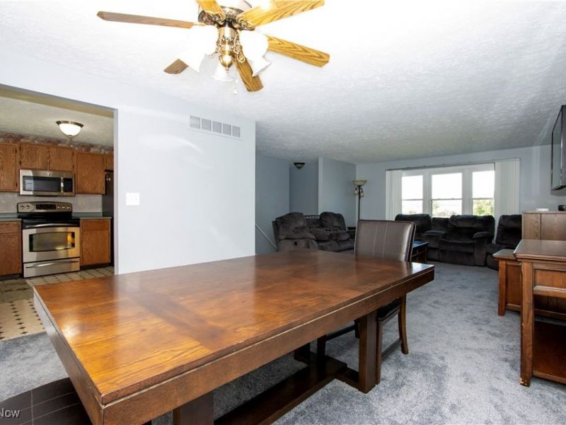 4220 S Elyria Road, Shreve, OH 44676 Photo 4