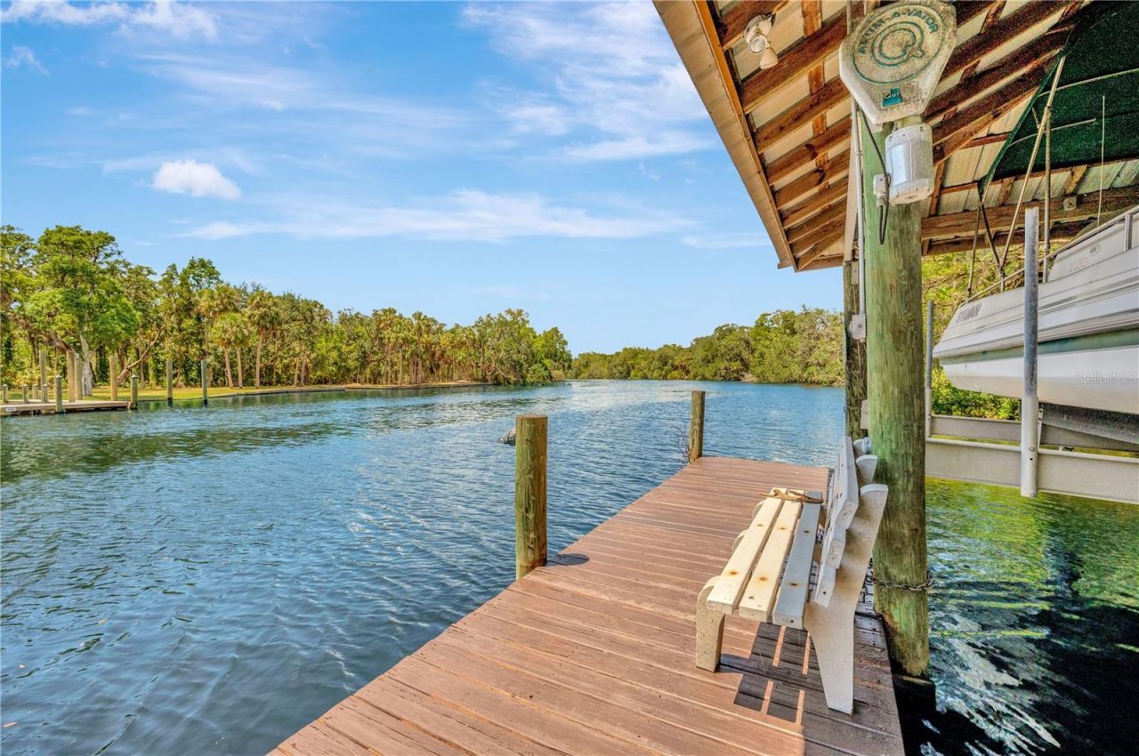 11526 River Country Drive, Riverview, FL 33569 Photo