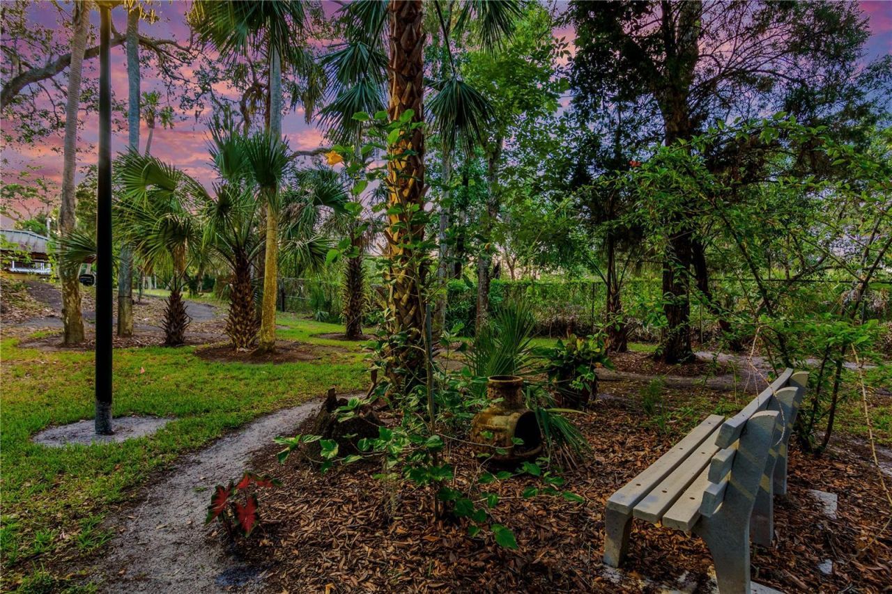 11526 River Country Drive, Riverview, FL 33569 Photo