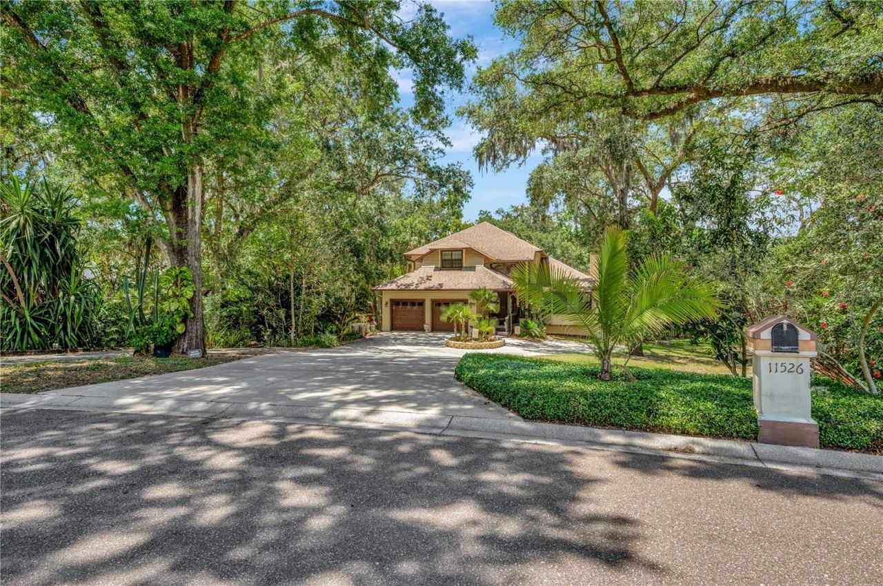 11526 River Country Drive, Riverview, FL 33569 Photo