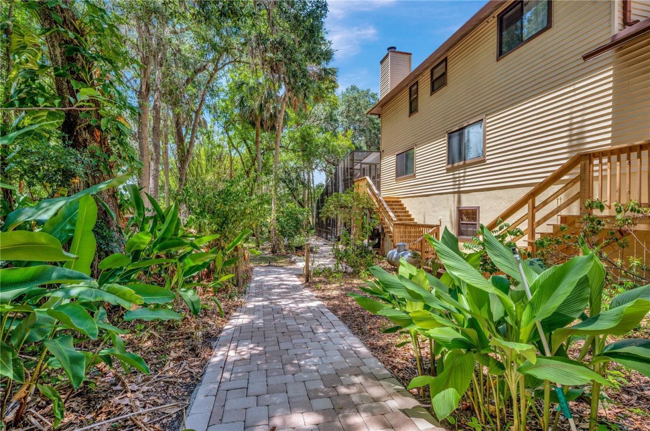 11526 River Country Drive, Riverview, FL 33569 Photo