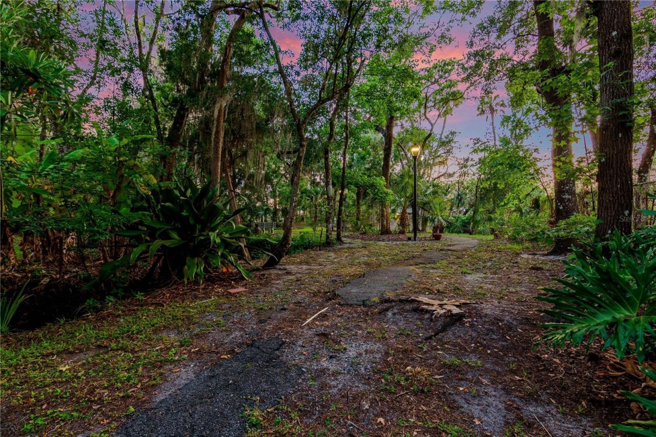 11526 River Country Drive, Riverview, FL 33569 Photo